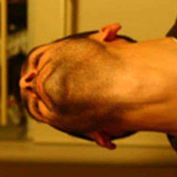 , Daily Motion (nids de poules): Poulets quies